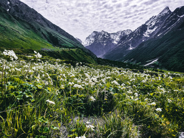 blog__img